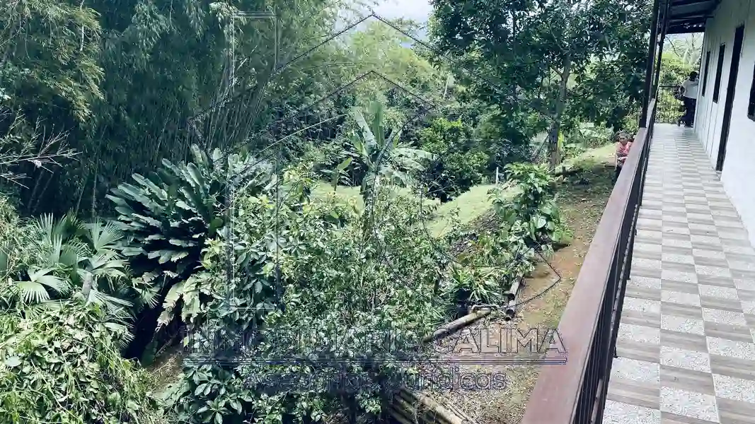 Finca Calimita